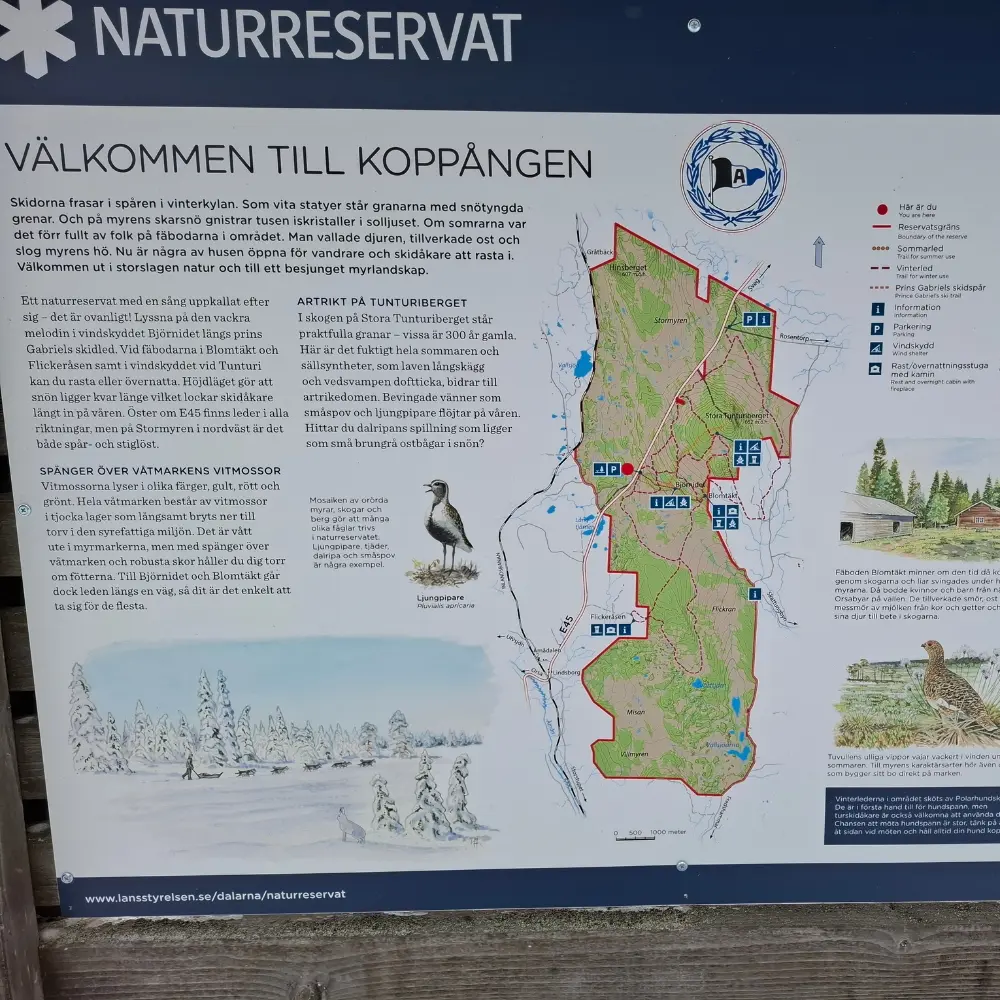 Koppången naturreservat
