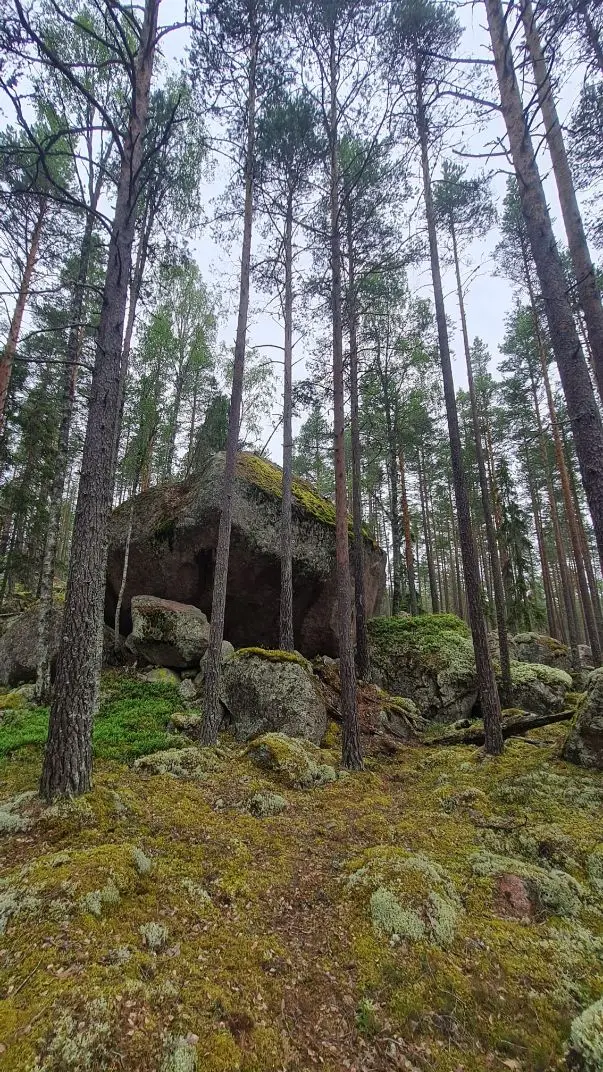 Flyttblock i närheten av Torsmo